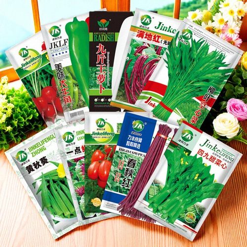 买4送2蔬菜种子四季播种盆栽阳台庭院黄瓜豆角番茄甜瓜种籽孑大全