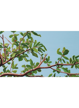 布纸有爱小清新绿植装饰画