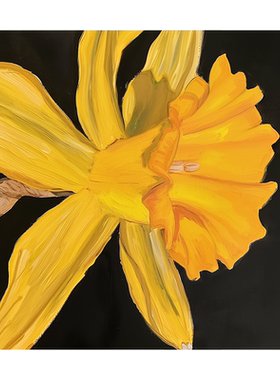 布纸有爱简约现代花卉装饰画