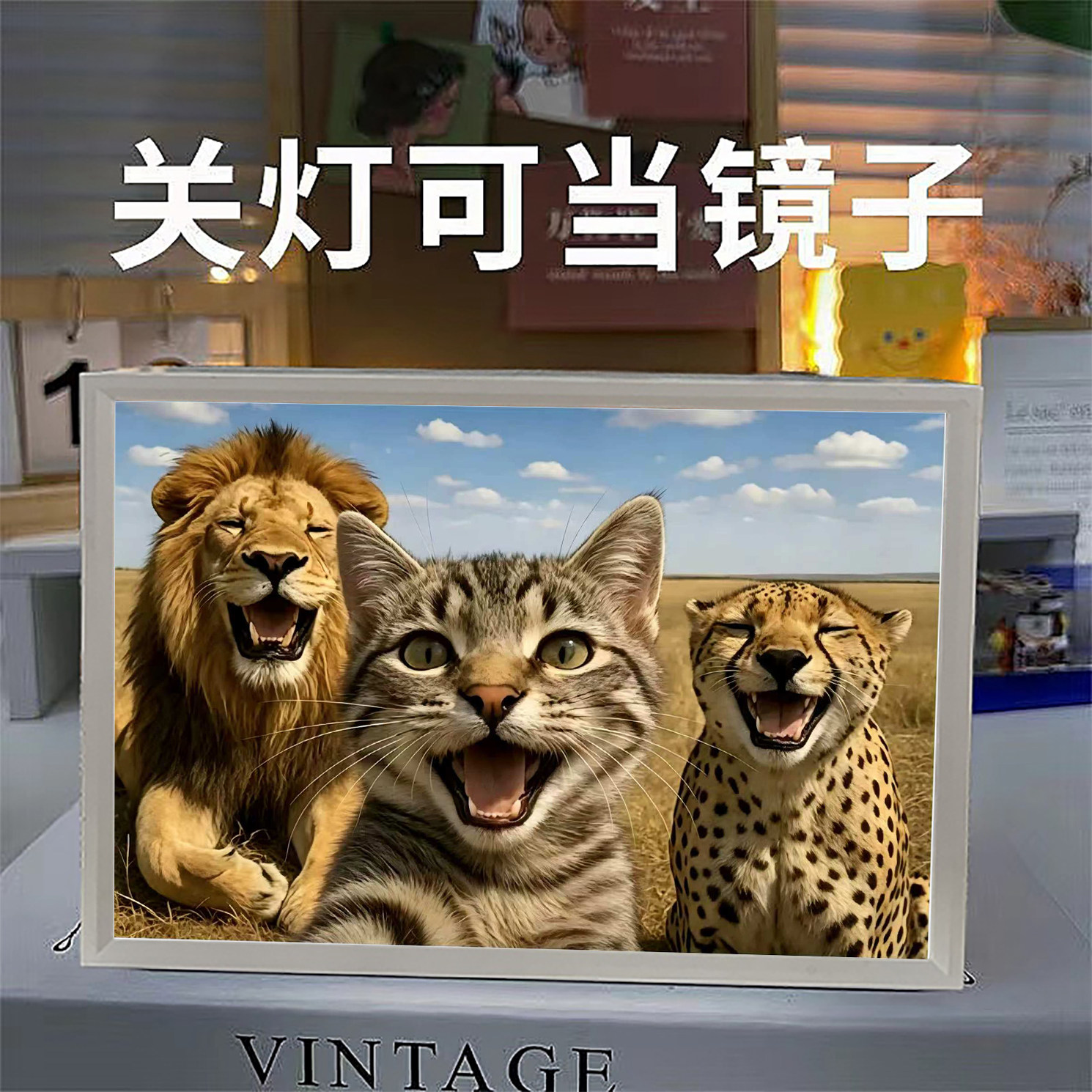 猫meme哈基米小猫的非洲大草原镜子灯光画桌面装饰摆件小夜灯礼物