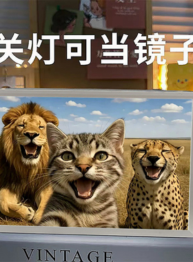 猫meme哈基米小猫的非洲大草原镜子灯光画桌面装饰摆件小夜灯礼物