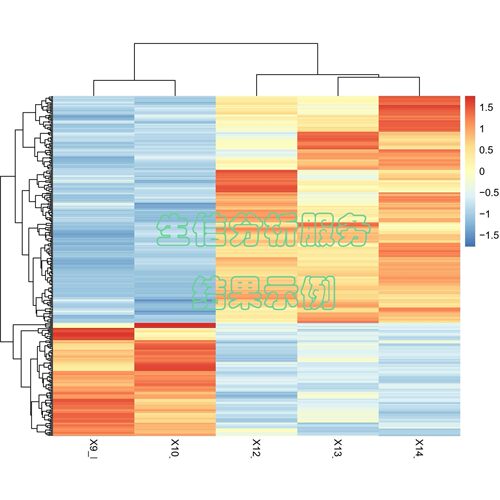 转录组数据分析 RNAseq SRA数据挖掘 PCA 聚类热图 GO KEGG