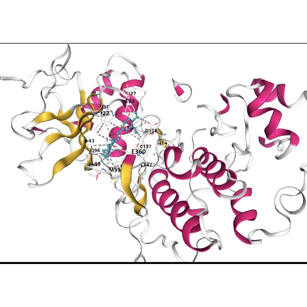 生信分析服务单细胞测序转录组数据分析微生物基因蛋白代谢表观组