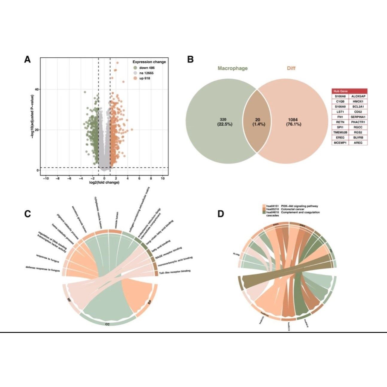 NCBI blast 多序列比对共线性分析比较基因组生信 16s 菌株鉴定