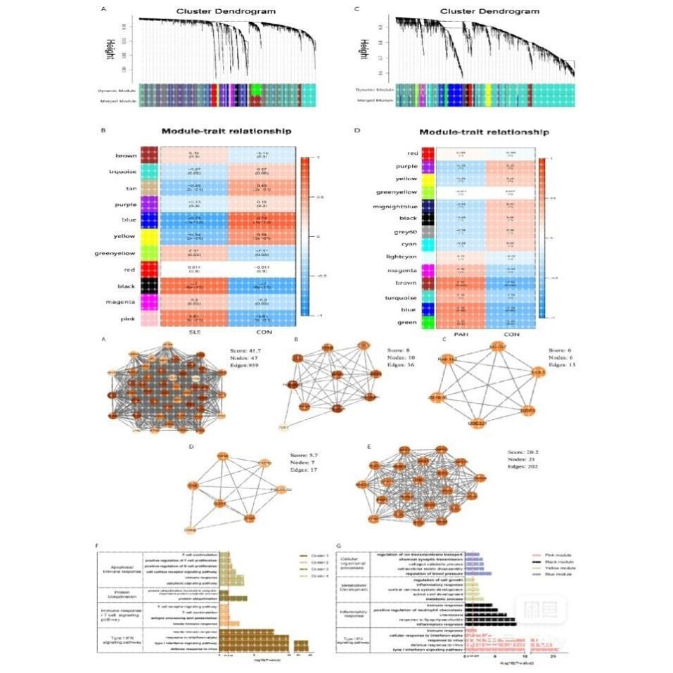 WGCNA GSEA生信分析,GEO TCGA数据挖掘