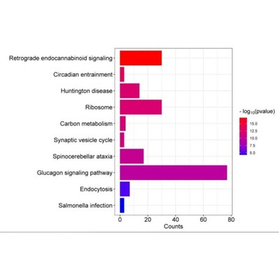 国自然基金生信部分 立项依据 研究方案 可行性分析 本子打磨 中