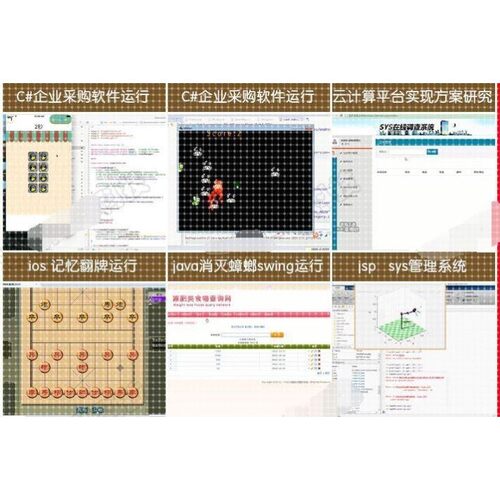 R语言数据分析java程序代做c++c语言matlab图像处理python编程php