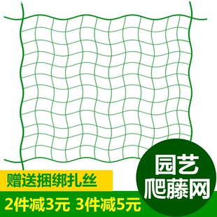 家用园艺网爬藤植物攀爬网黄瓜葡萄铁线莲三角梅吊网蔬菜搭架用网