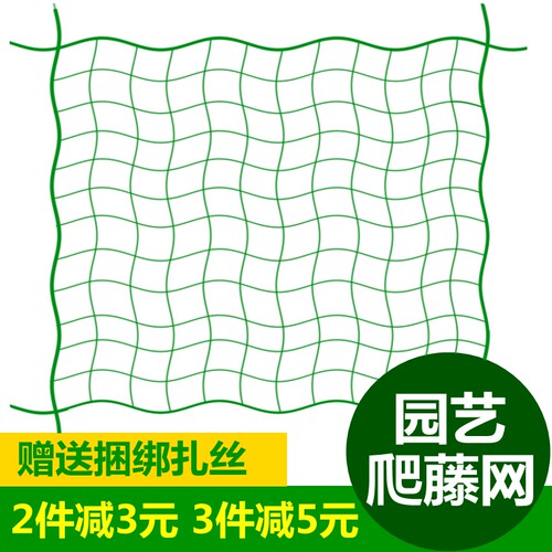 家用园艺爬藤植物黄瓜葡萄铁线莲