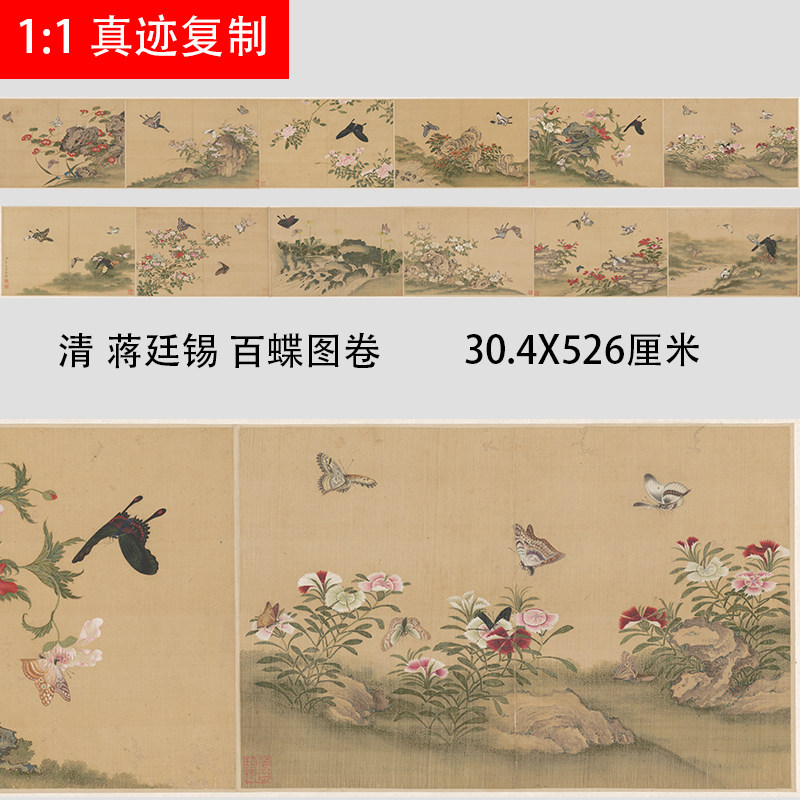 清蒋廷锡百蝶图长卷真迹微喷复制画工笔花卉蝴蝶临摹学习画稿植物