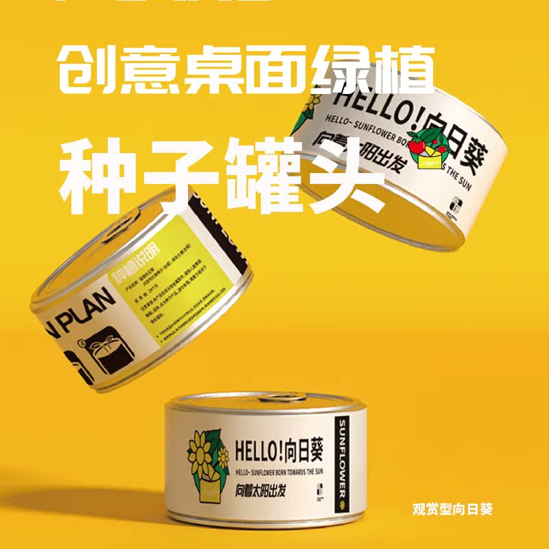 创意礼物桌面绿植盆栽