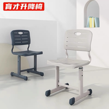 育才儿童学习椅中小学生写字椅可升降调节家用书桌靠背椅矫正坐姿