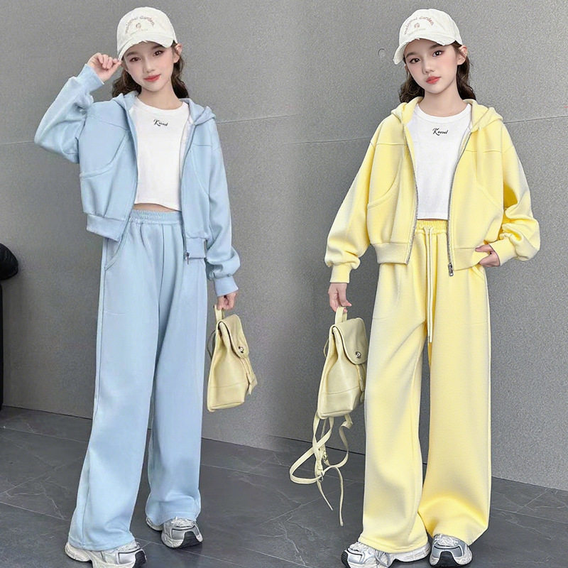 女童春秋款休闲两件套新款时尚