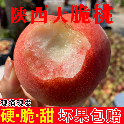 硬！脆！甜！陕西大脆桃