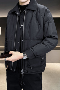 店主风90白鸭绒  2025年设计感外套假两件羽绒服男L6617-P280图片