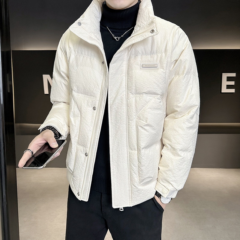 店主风2025年面料立领潮流羽绒服男YR6025-P210控278，男装羽绒服，电商D240-242