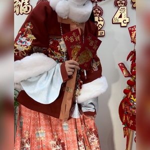 芙蓉轩原创【千岁龙灯】2024新品龙年限定拜年服汉服女马面裙冬款