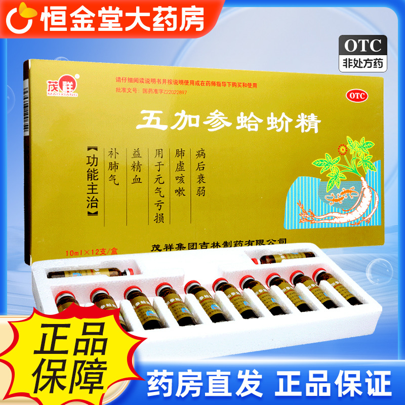 【老人乐】五加参蛤蚧精10ml*12支/盒五加参蛤蚧精肺虚咳嗽补肺气咳嗽元气亏损