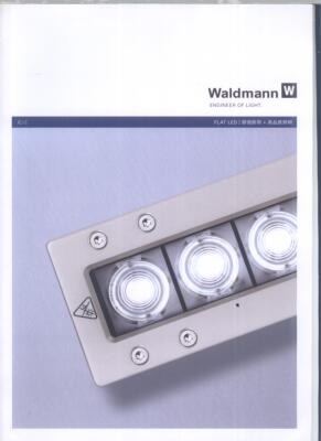 德国Waldmann 沃达迈 工业照明灯 表面安装式 嵌入式