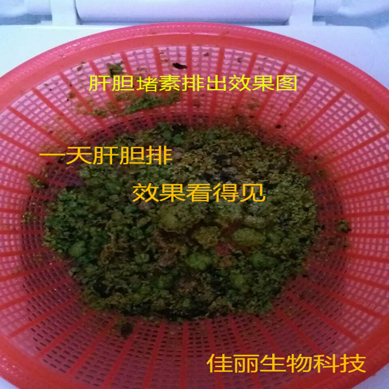 肝胆排美容院套盒排肠垢清宿便肠排酵素果蔬孝素辟谷净化绿茶灌肠