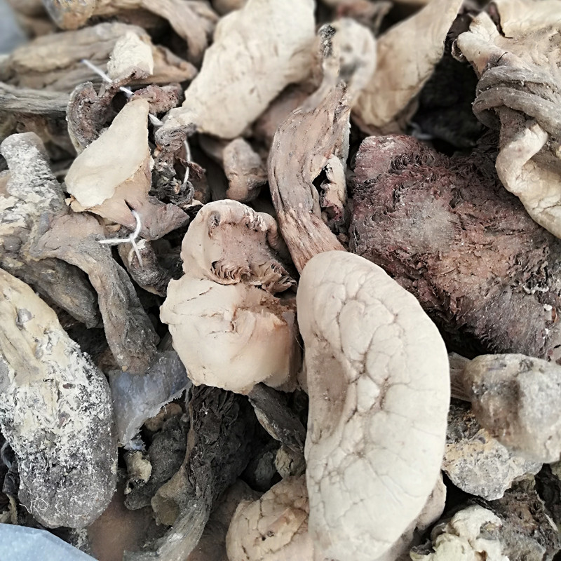云盘蘑菇辽西特产野生高山500g