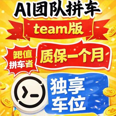 codex team拼车 business套餐AI团队版车位一车5人，售后质保30天