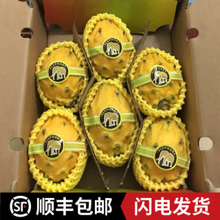现货原箱4.3斤5-8个超甜品种麒麟果黄色火龙果燕窝果新鲜水果顺丰