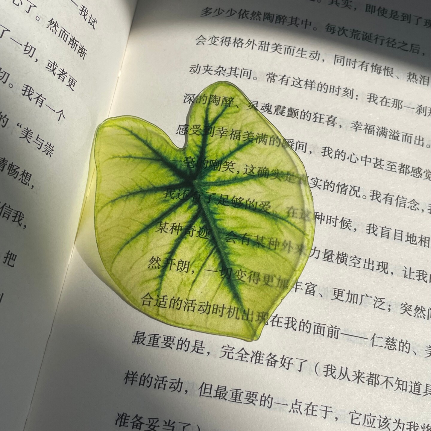 小清新书签亚克力透明树叶学生固定便签龟背竹创意透卡叶芋定制图片