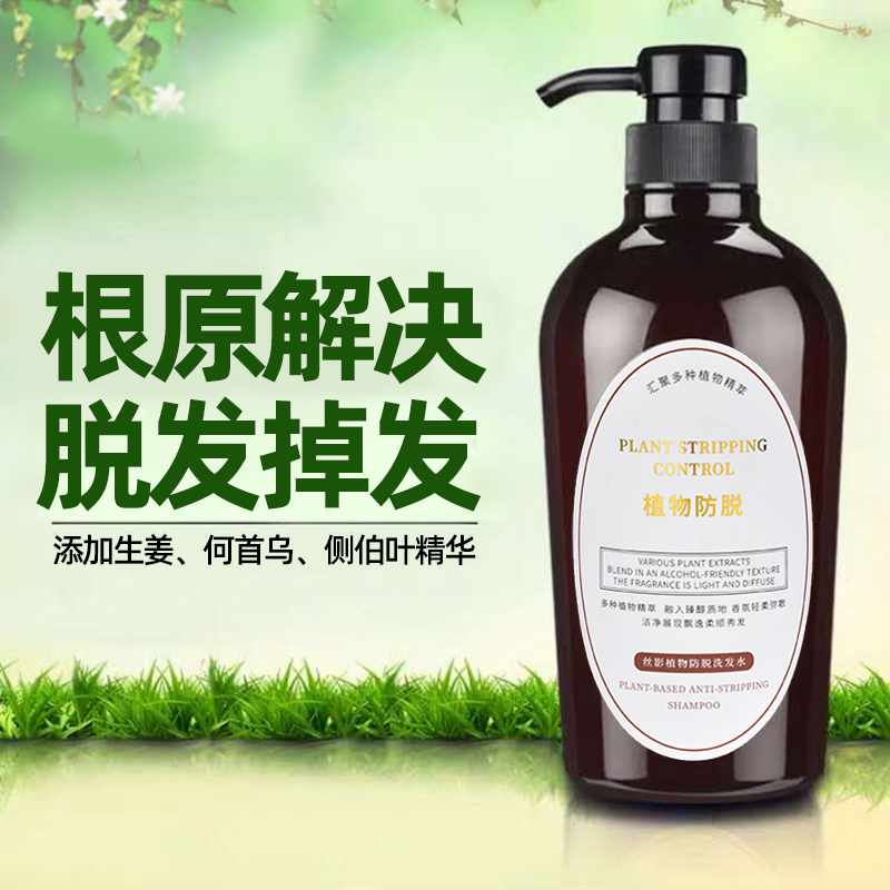 生育男女姜汁控油去屑洗发水