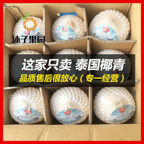 泰国香水椰青特大果9个装