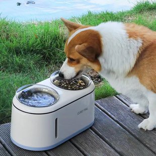 宠物饮食器自动喂食器猫咪饮水机流动喝水自动喂水器大容量饮水机