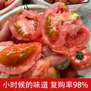 『顺丰包邮』老品种番茄草莓大番茄水果沙瓤西红柿攀枝花产地直发