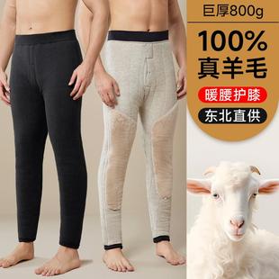 冬季 保暖裤 线衬裤 加绒加厚100%绵羊毛填充含贴片护膝防寒秋裤 男士