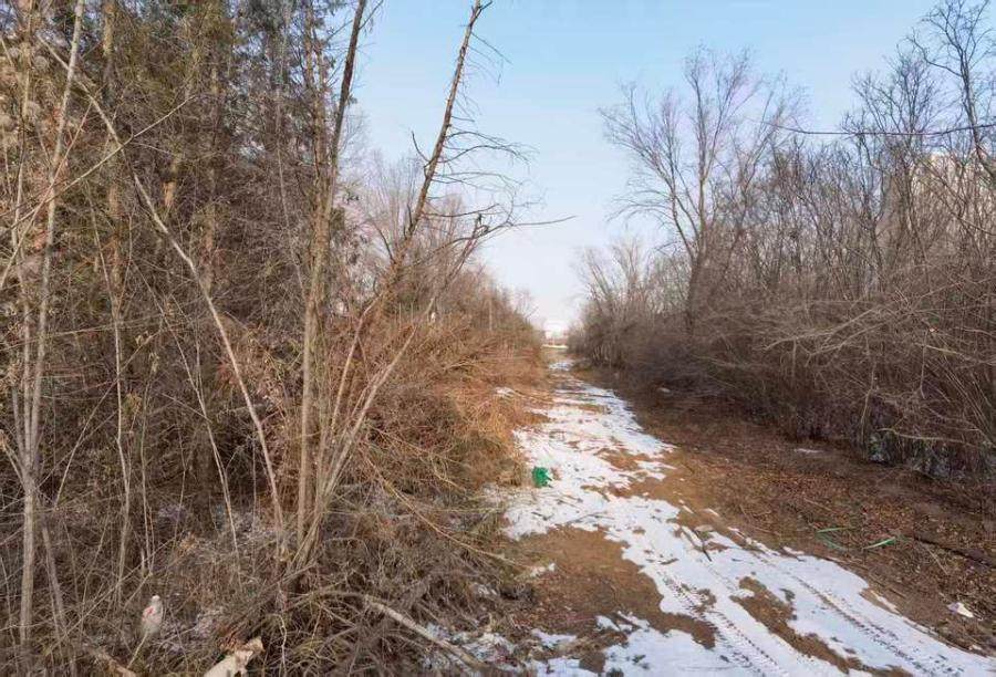 1月25日呼和浩特、鄂尔多斯大街南侧土地及地上林木等资产网络拍卖公告