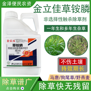 金立佳20%草铵膦草铵磷草胺磷果园茶园牛筋草小飞蓬除草剂烂根5kg