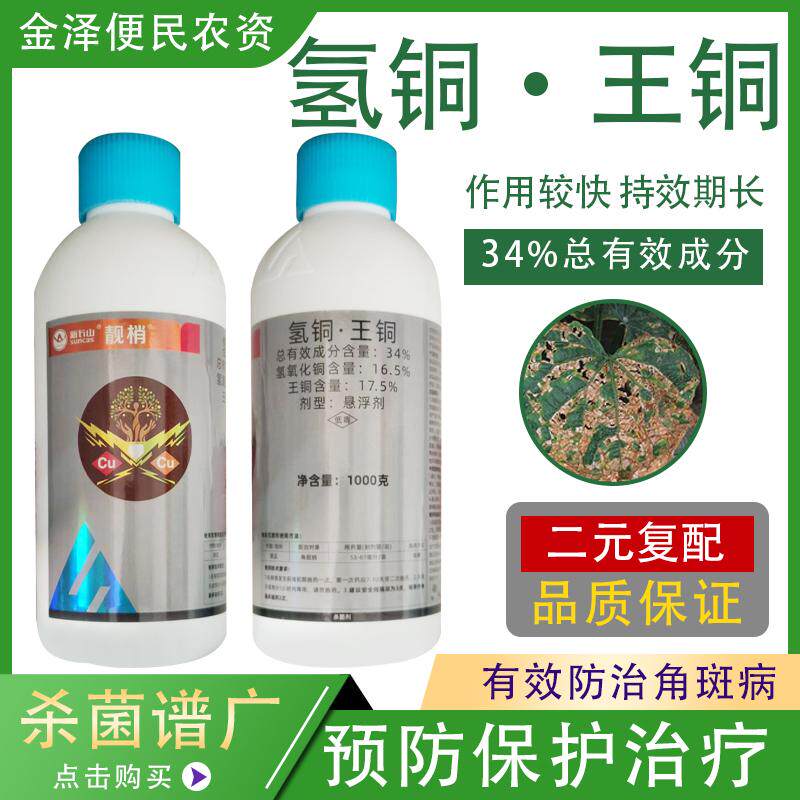 靓梢 34%氢铜王铜 黄瓜角斑病 低毒悬浮剂高效农药杀菌剂1000g