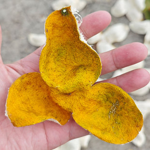 梅江圈枝二红皮陈皮生晒原产地直发正宗老陈皮干青皮大红柑皮