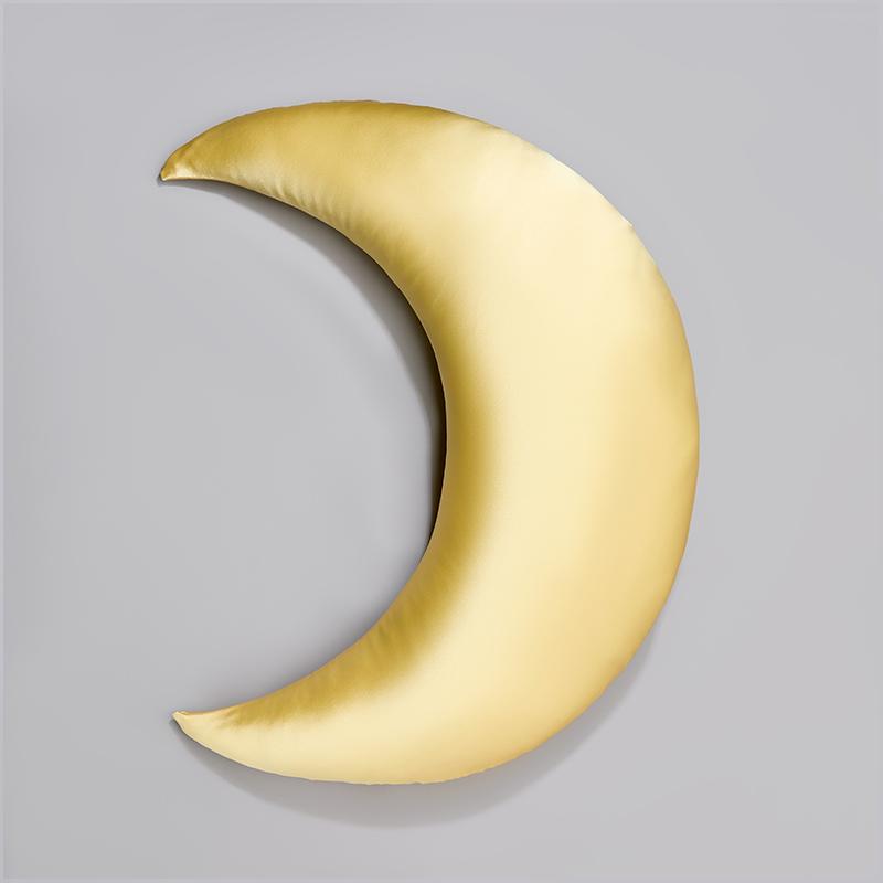 Cnsilk100%桑蚕丝真丝抱枕