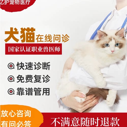 宠物医生在线问诊24小时兽医咨询宠物医院在线看病猫猫狗狗专科