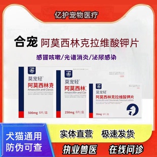 合宠莫宠轻阿莫西林克拉维酸钾片宠物猫狗感冒咳嗽鼻涕泌尿感染