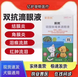 双抗滴眼液安百抗犬猫结膜炎细菌角膜炎眼部护理流脓红肿泪痕