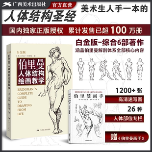 人体结构造型手绘技法 人体骨骼肌肉解剖实用人体素描速写人物基础技法教程人体速写临摹 旗舰正版 伯里曼人体结构绘画教学白金版