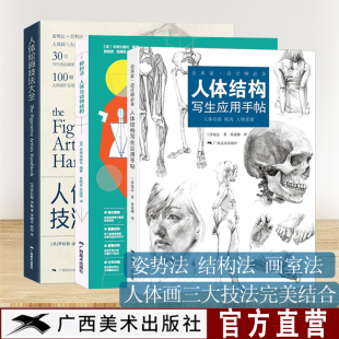 赖利法人体与动物结构人体结构写生应用手帖人体动物结构骨骼肌肉透视解剖人体绘画 人体结构绘画技法3册 人体绘画零基础素描入门