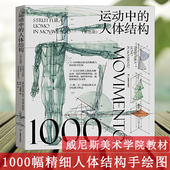 人体躯干骨骼结构绘画教学手绘图赏析 威尼斯美术学院 骨骼解剖艺术素描动人物素描临摹基础技法书 人体结构彩色版 运动中