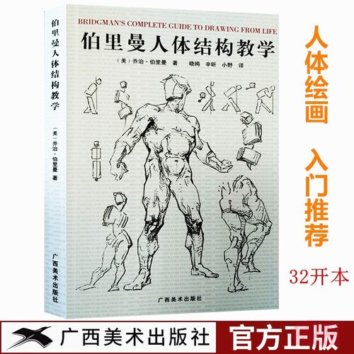伯里曼人体结构教学32开本