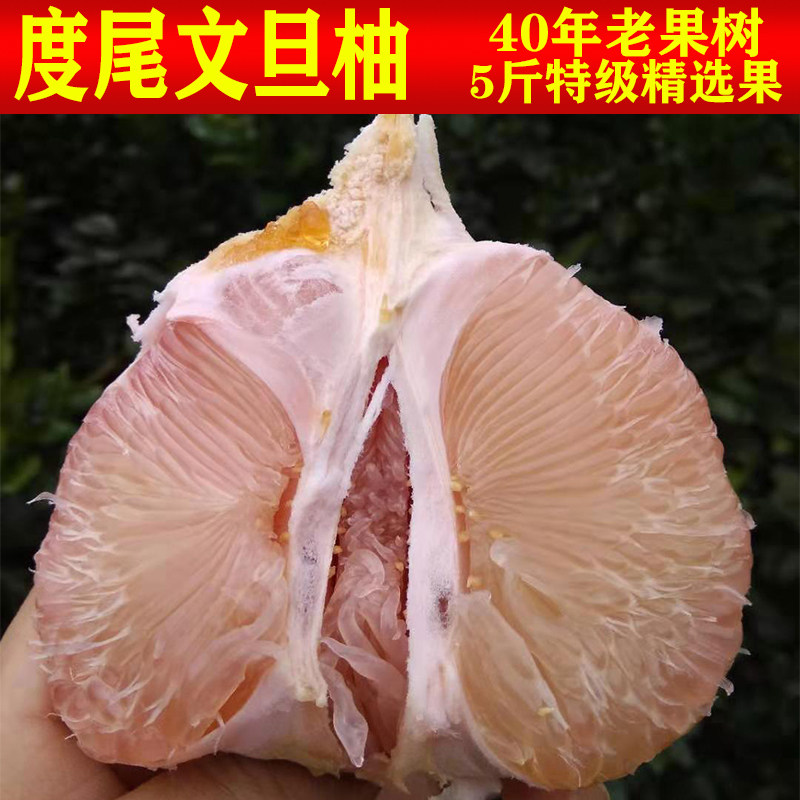 度尾文旦柚子老树福建莆田仙游红心小蜜柚10斤新鲜孕妇水果包邮
