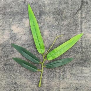 仿真竹叶假竹叶竹枝带孔插毛竹专用小竹叶小竹子树叶装饰单竹叶片