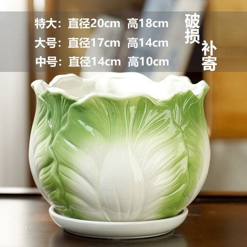 清仓特价特大号花盆带托盘大口径简约吊兰家用室内外绿植多肉花盆 - 封面