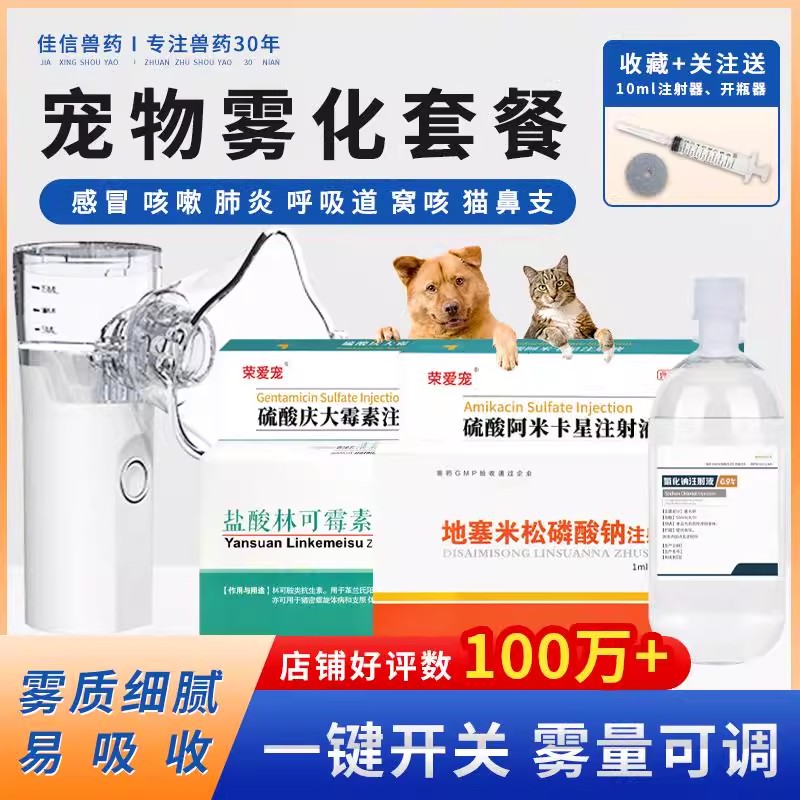 感冒肺炎打喷嚏流鼻涕咳雾化药