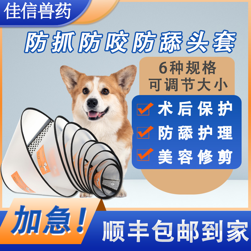 伊丽莎白圈宠物犬狗狗猫咪项圈防舔防咬头套外伤绝育脖圈猫脖颈圈